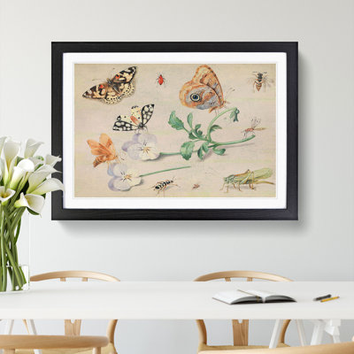 Butterflies and Insects Vol.2 by Jan Van Kessel - Picture Frame Painting