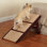 Escalier pour animal 3 marches Rossman
