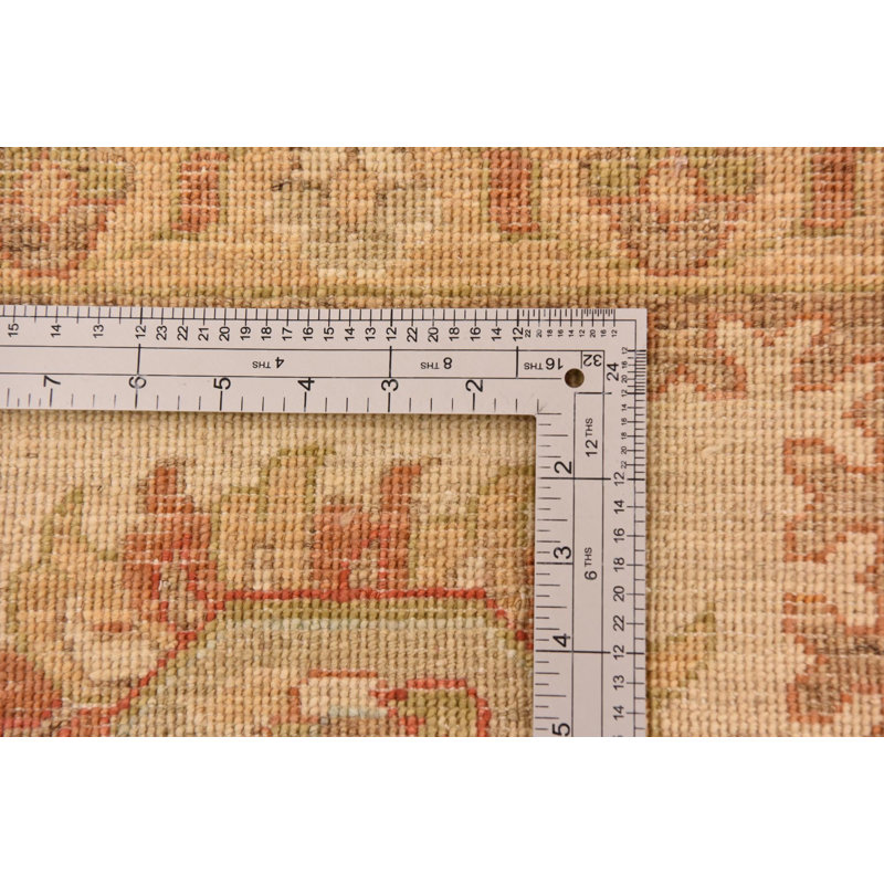 Olson Cream Rug