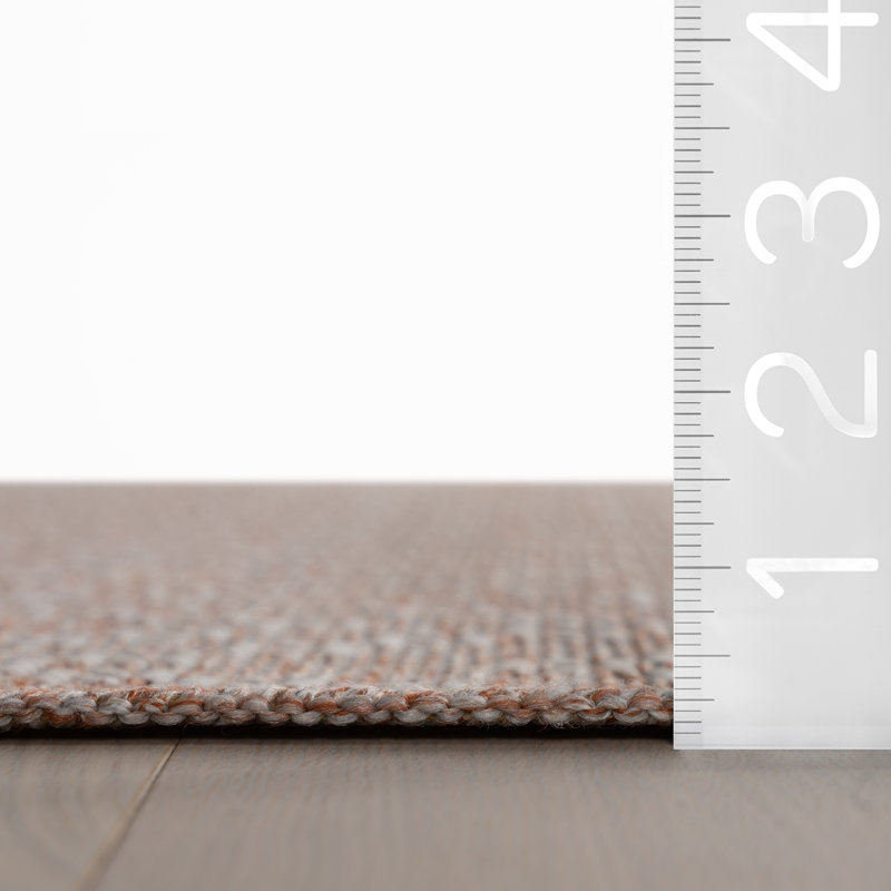  Tanelle Indoor/Outdoor Bohemian Area Rug, Rectangle 4' x 6'