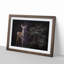 Curious Fawn in Abstract - Picture Frame Painting Print-55679583-55679588