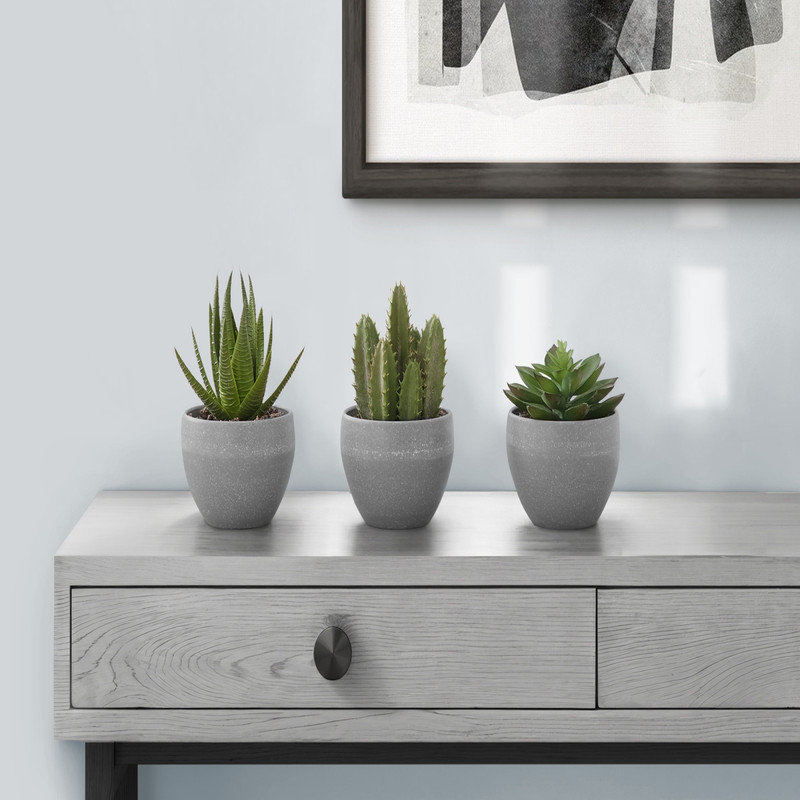 Ensemble de plantes artificielles grasses artificielles de 3, 6 po de hauteur en pots de ciment gris pour la décoration intérieure