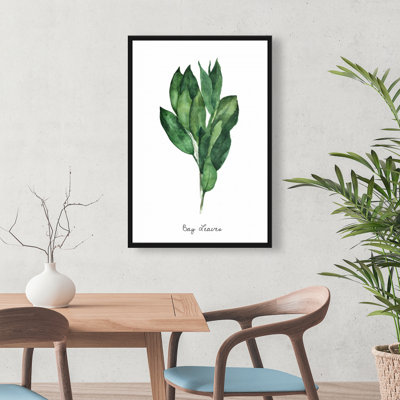 Ensemble de feuilles de laurier - Décoration gastronomique sur toile verte