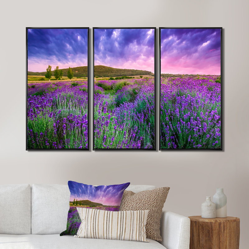 «Glorious Sunset Over Blossoming Lavender Field», reproduction de cadre flottant sur toile 3 pièces, Cadre noir