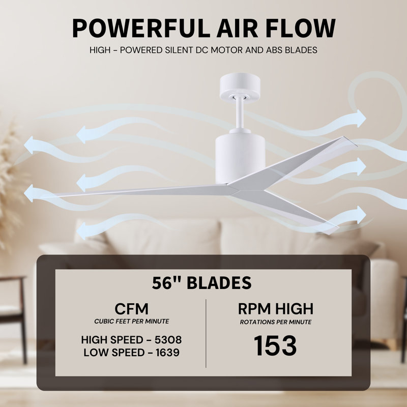 Eliza Outdoor Downrod Ceiling Fan, Gloss White, Gloss White