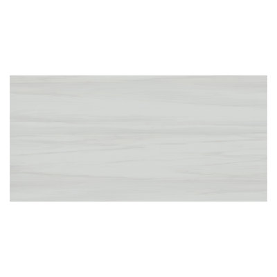 Ardena 24 in. x 48 in. Matte Porcelain Stone Look Floor and Wall Tile