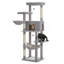 Grand arbre à chat pour grands chats-2091720828