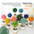 Arrangement in Pot-94084243