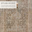 Clemente Oriental Machine Woven Polypropylene Area Rug in Tan/Taupe-1425526390