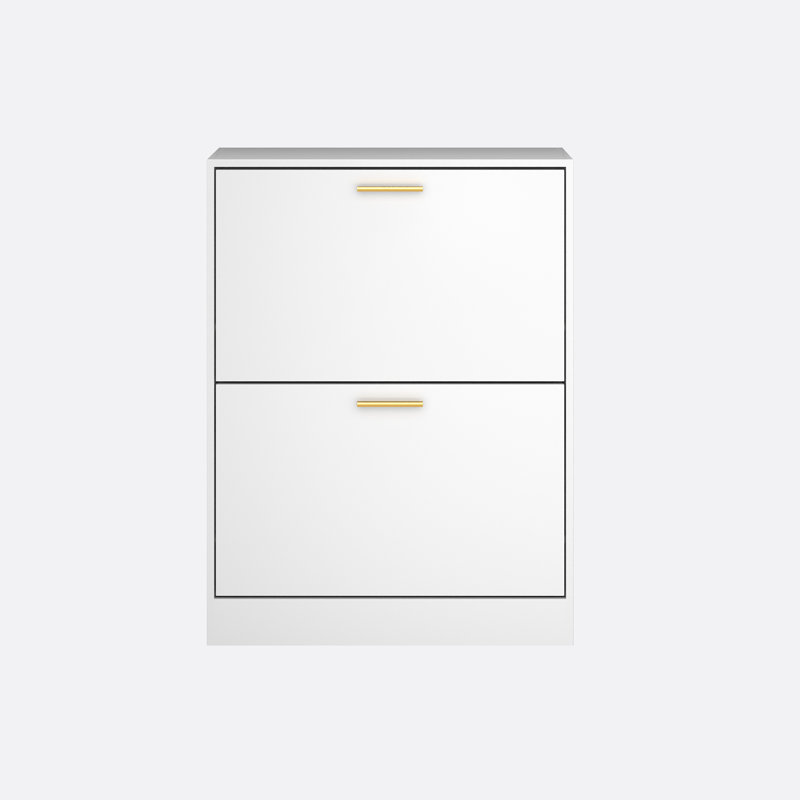 2-Tier Narrow Flip Shoe Storage Cabinet, Holds Up to 12 Pairs, Waterproof Entryway Shoe Organizer with Gold Metal Handles