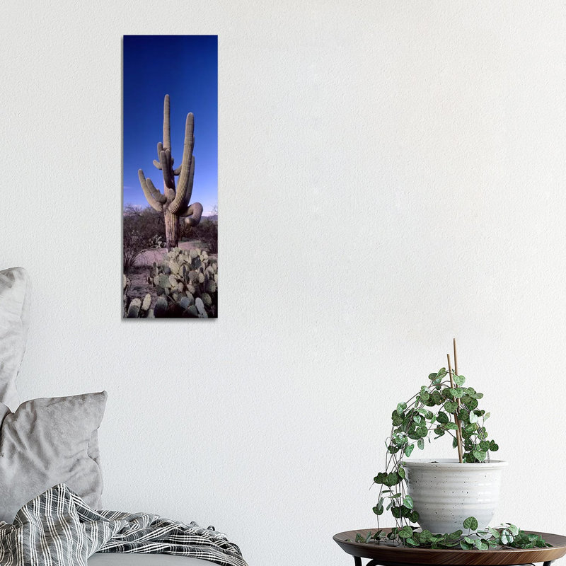 Low Angle View Of A Saguaro Cactus - Wrapped Canvas Panoramic Print, 30.48 cm H x 91.44 cm W x 1.91 cm D
