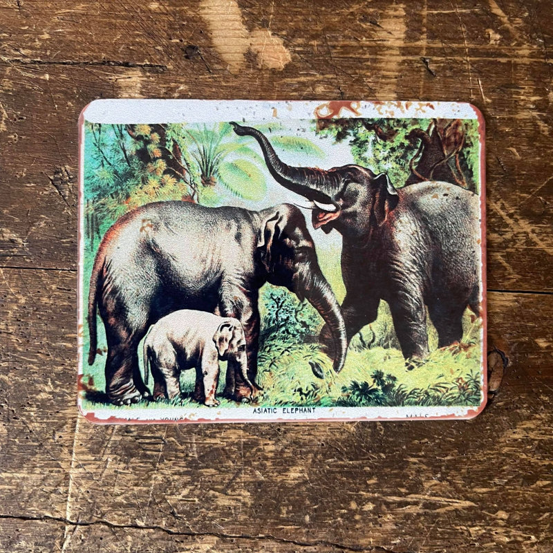 Wall Decor on Metal, 40cm H x 60cm W