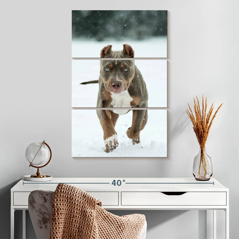 Brampt Pit Bull On Snow, 32" H x 20" W