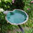 Lilypad Birdbath with Rail Mount Bracket