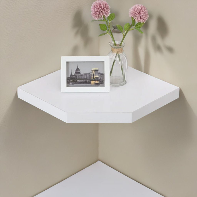 Antaneisha Floating Shelf