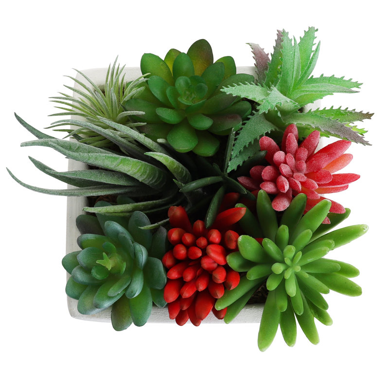 Plante grasse artificielle 5 po en pot