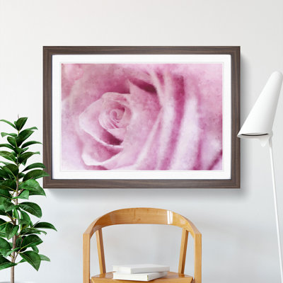 Pink Rose Flower Vol.1 - Framed Print