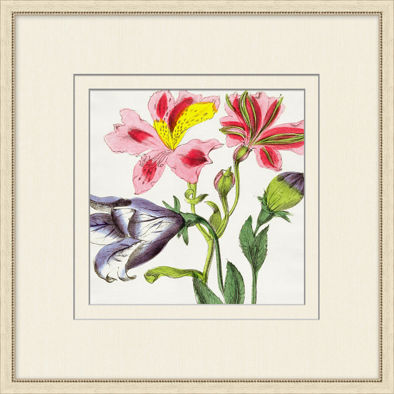 Radiant Blossoms 4 Print