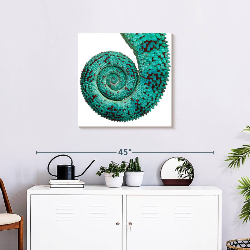 Crowle Chameleon Tail, 24" H x 24" W