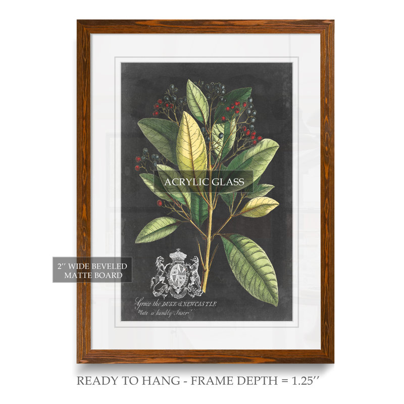 Reproduction d’art sur toile encadrée « royal feuillage iv » par paul cezanne, H 28 po x l 38 po x 1,25 po