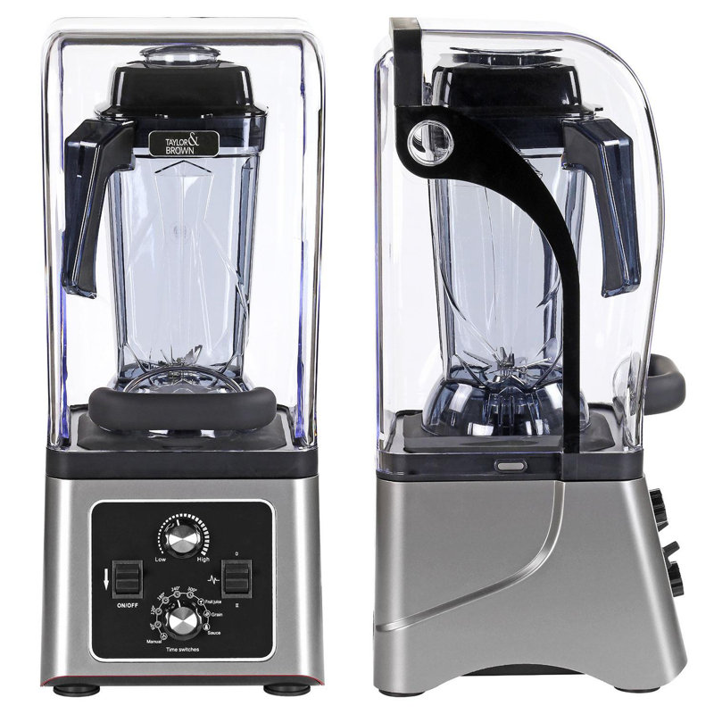 Ivy Bronx Countertop Blender