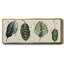 Palm Line - toile encadrée-598040324