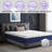 14'' Medium Firm Hybrid Pillow Top Mattresses In A Box-1329948718