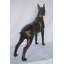 Statue de boxer en bronze - Taille: L 35 po x l 10 po x H 36 po.