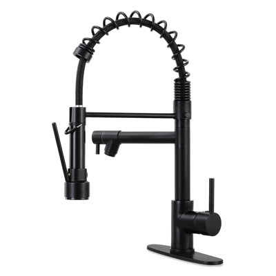 HGN Kitchen Faucet