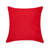Square Velvet Pillow Cover and Insert-1818745020-1794399804-1764579157