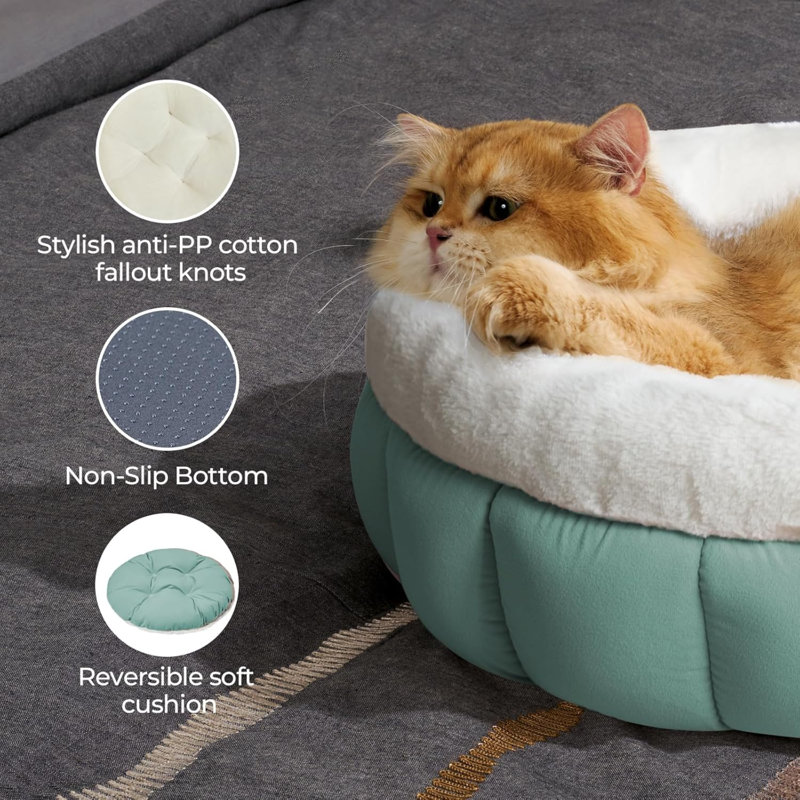 Lit pour chat pour chat d'intérieur, lit rond pour chat lavable, lit mignon pour chat avec fond antidérapant pour chat et chiot, 18 pouces, vert granit