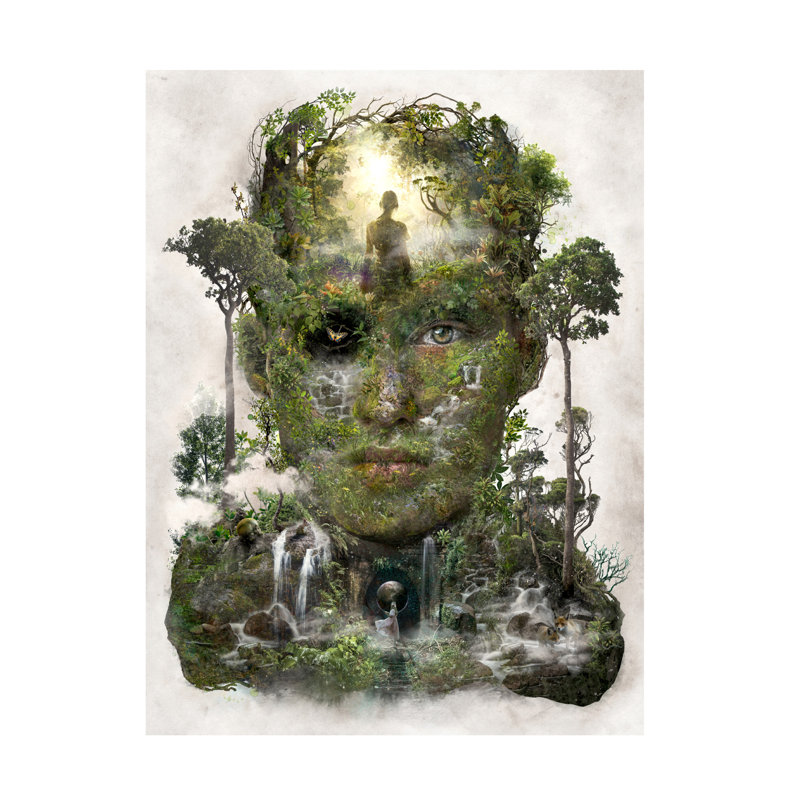 «Barrett Biggers Forest of Space Time», art sur toile, H 14 po x l 19 po
