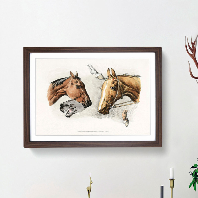 Horse Heads and Hoofs by Henry Alken - Picture Frame Painting Print on MDF, Walnut Framed, 48cm H x 65cm W x 2cm D