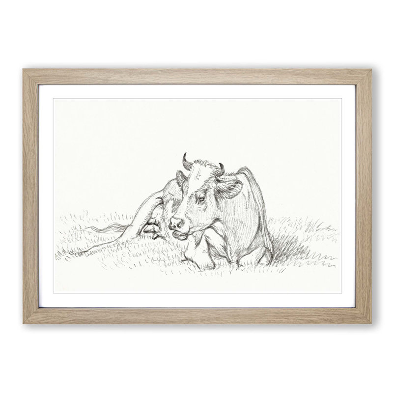 Sketch of a Resting Cow by Jean Bernard - Picture Frame Drawing Print, Oak Framed, 36cm H x 48cm W x 2cm D
