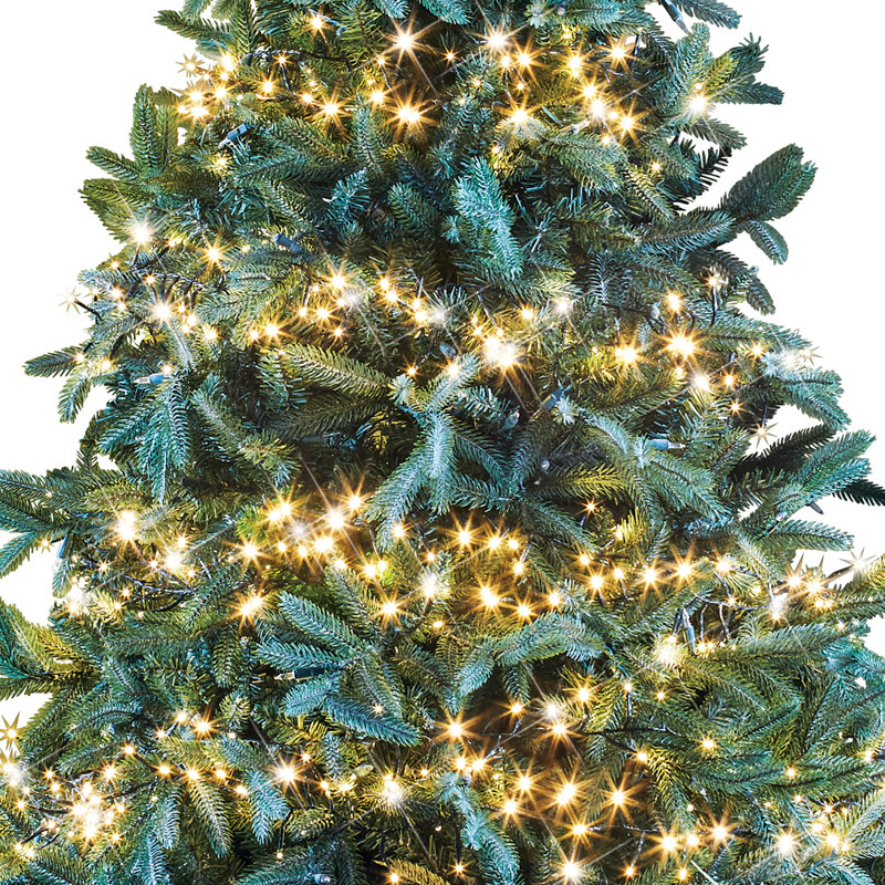 Kanyi 600 - Bulb 590'' Plug-in LED String Light