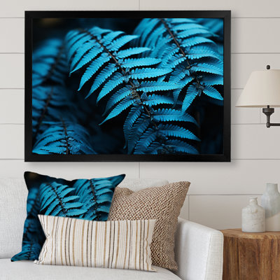 Ferns Turquoise Whimsy I - imprimé