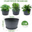 Planter