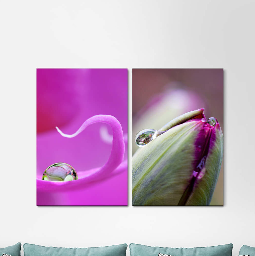 2-tlg. Leinwandbilder-Set - Fotografie „Orchid Water Drops Buds Flower Summer Juice”