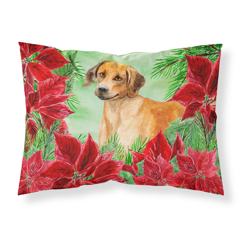 Microfiber, Rhodesian Ridgeback