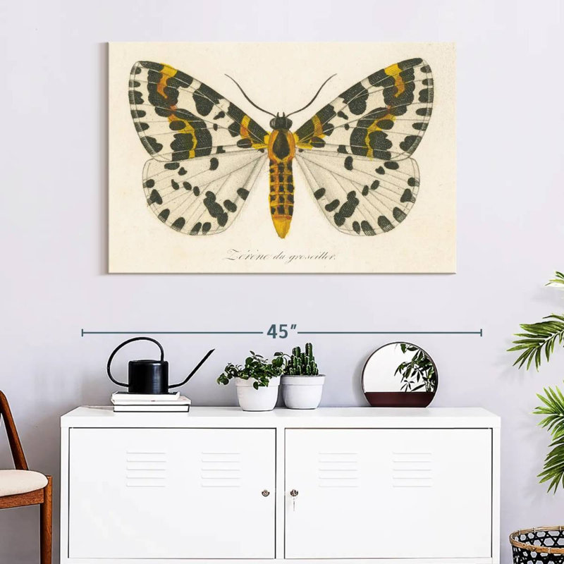 Brampt Natures Butterfly IV, 26" H x 39" W
