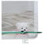 Selders Flat Vanity Mirror with Shelves-1016747547