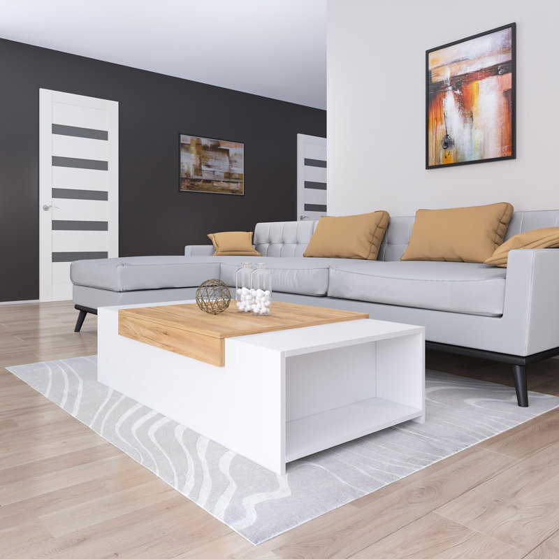 Fatlina Frame Coffee Table with Storage