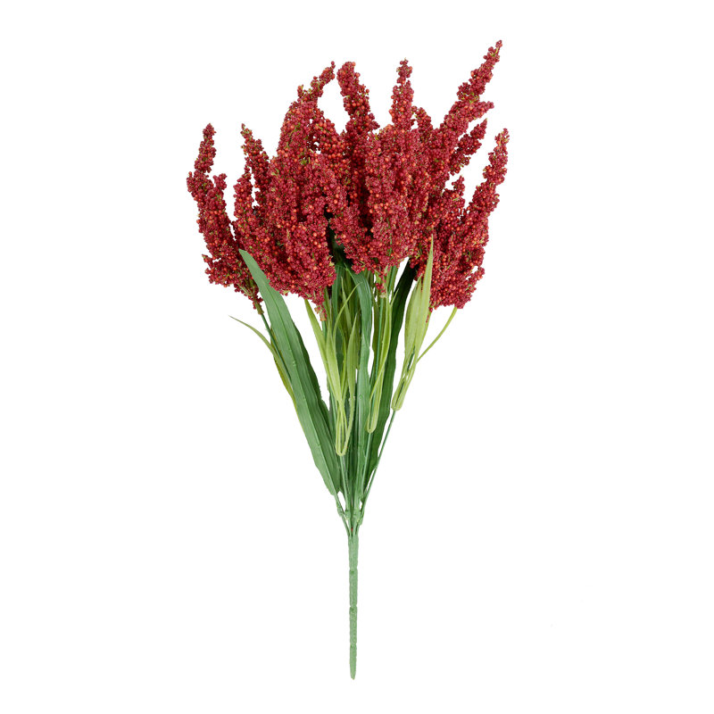 Fausse tige de bruyère, Rouge