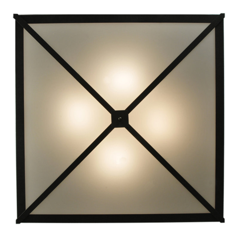 Whitewing 4 - Light