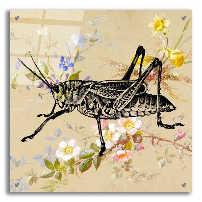 "Papier peint sauterelle" par Dean Russo, H 24 po x l 24 po x P 0,2 po