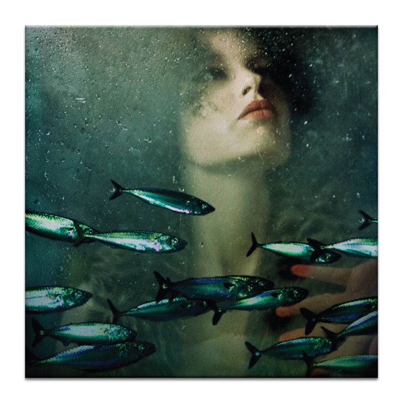 Wrapped Canvas Print, 41cm H x 41cm W