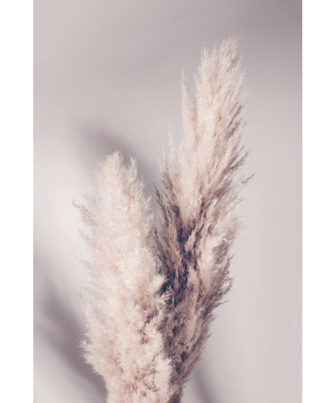 Wrapped Canvas Print, 76.2 cm H x 50.8 cm W