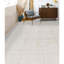 Area Rug in Beige
