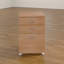 45cm Wide 3 -Drawer Mobile File Cabinet
