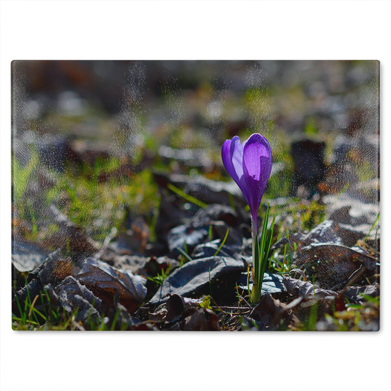 autumn flower bloom in nature Designer Glass Chopping Board, 40cm L x 28cm W